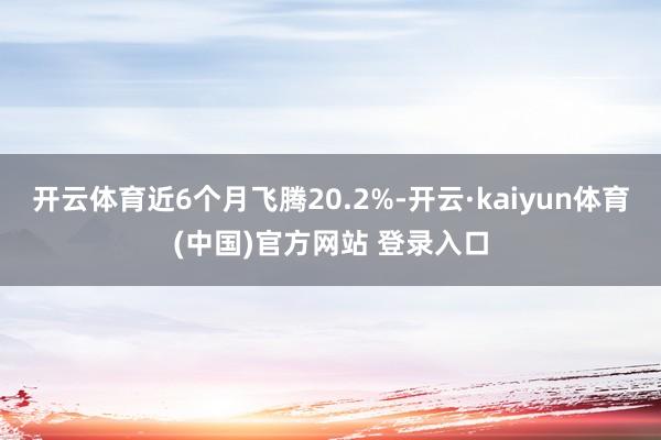 开云体育近6个月飞腾20.2%-开云·kaiyun体育(中国)官方网站 登录入口