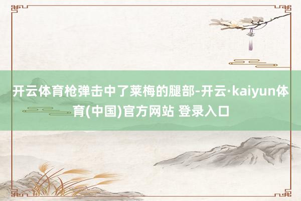 开云体育枪弹击中了莱梅的腿部-开云·kaiyun体育(中国)官方网站 登录入口